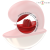 Finition en silicone ultra-doux et courbe ergonomique du vibromasseur Intense Mariah rouge