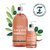 Savon de Marseille Beauterra