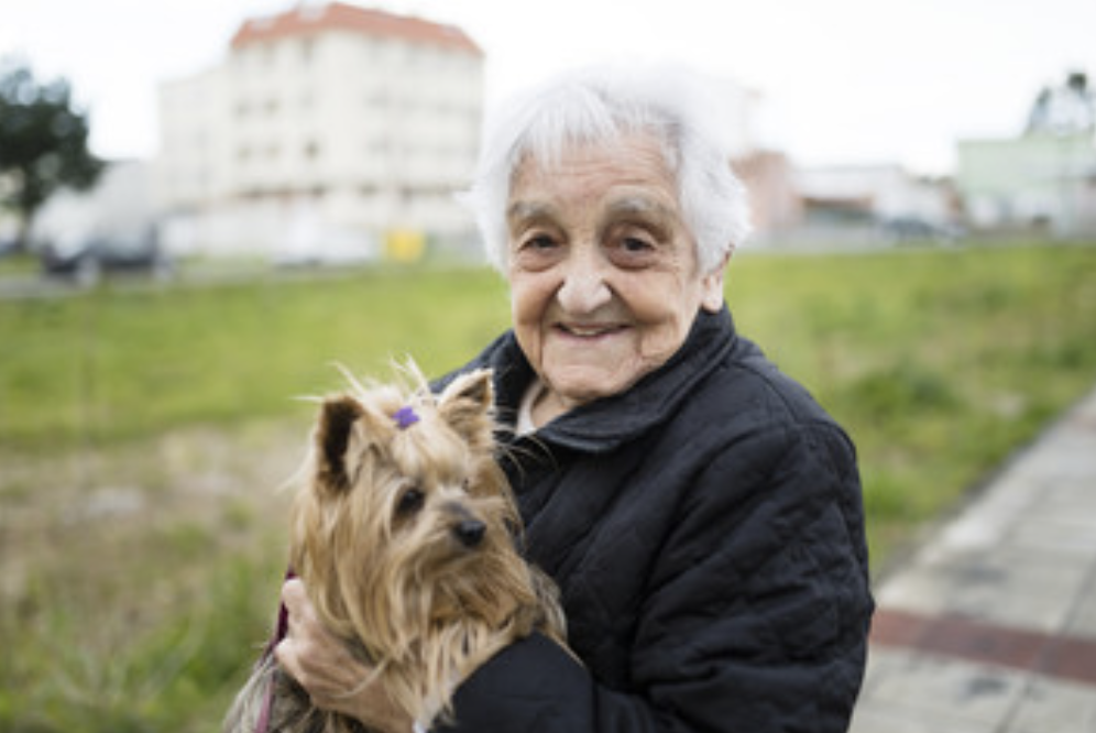 Personnes âgées : avoir un animal de compagnie